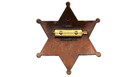 Replika Hvězda Šerifská Grand Country 6cm zlatá