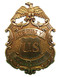 Replika Odznak zástupcu US Marshal 8,8cm zlatý